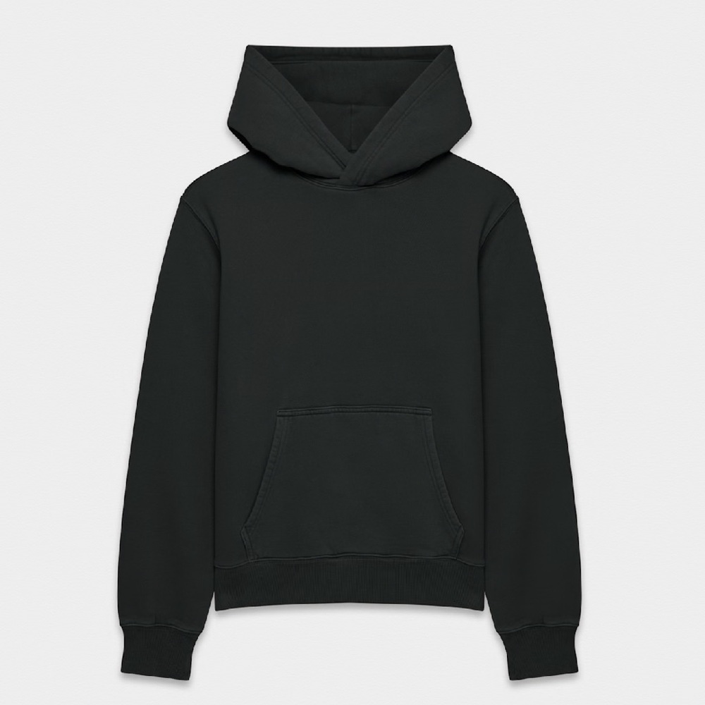 Aritzia Cozy Fleece Perfect Hoodie